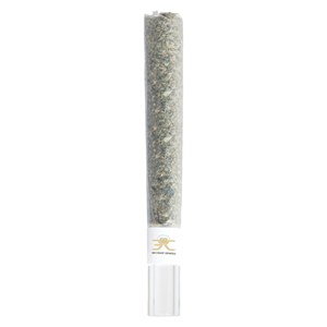 3rd Coast Genetics - Black Cheese Glass Tip Pre-Roll - Sativa - 1x1g
