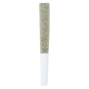 Encore - Mint Sour Pre-Roll - Sativa - 10x0.5g